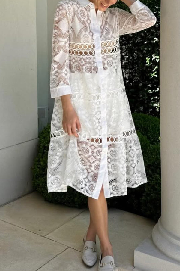Elegant Solid Color Hollow Lace Lapel Button Down Long Sleeve Shirt for Women - Perfect for Office Wear, Date Night & Special Occasions