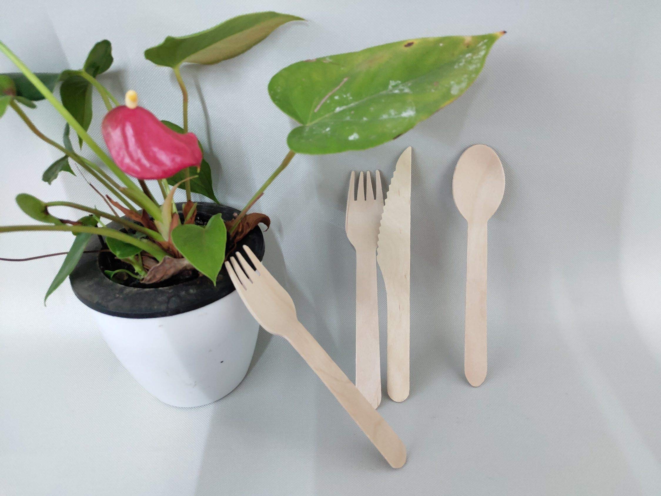 Eco-Friendly 6-Inch Wooden Disposable Forks - 100 Pack of Biodegradable & Compostable Cutlery for Parties, Picnics, BBQs & Outdoor Events