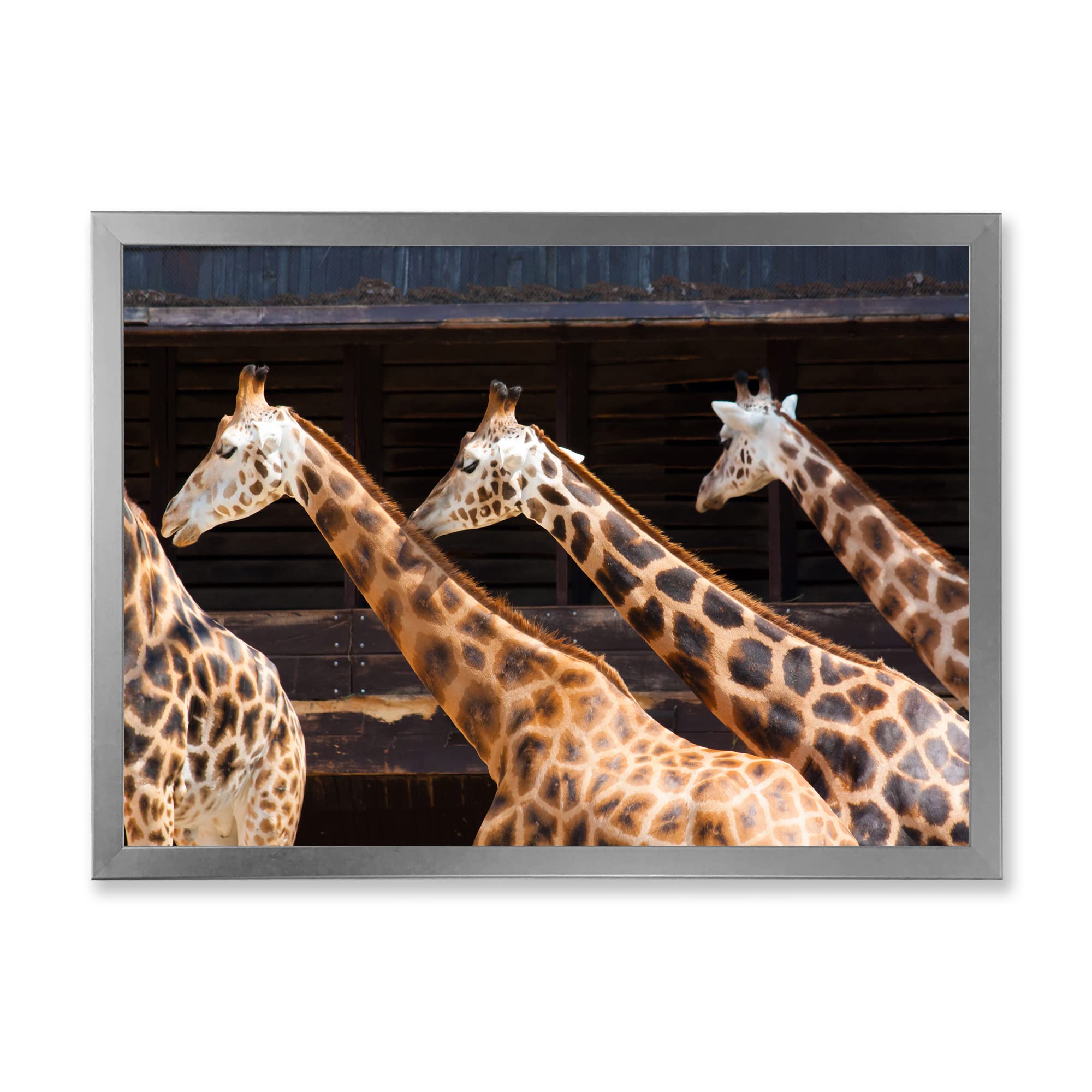 DesignQ Three Giraffes Running Farmhouse Framed Wall Art - Rustic Animal Decor for Living Room, Bedroom & Nursery - Perfect Gift for Wildlife Lovers