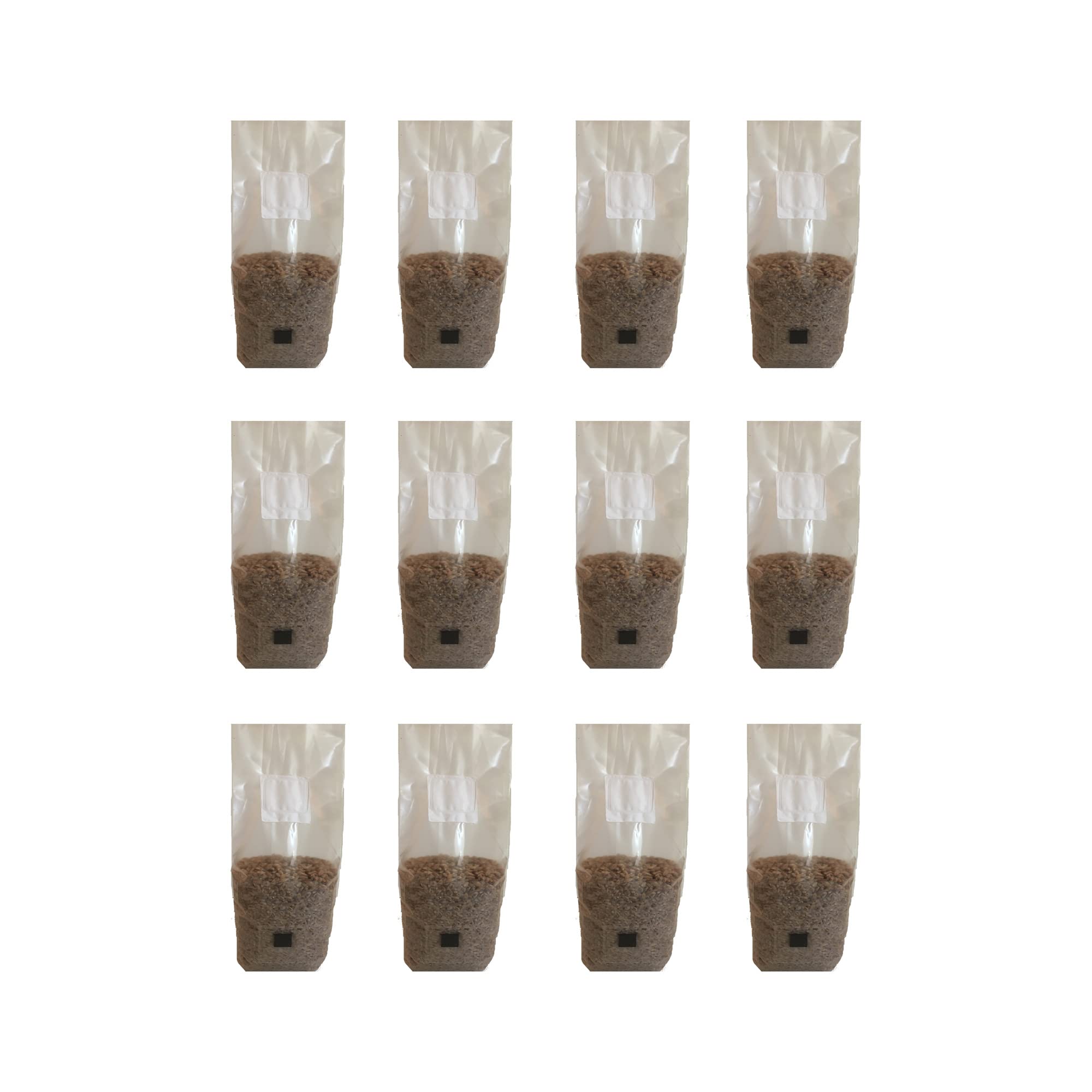 12 x 2 lb. Rye Berry Mushroom Substrate Bags with Self-Healing Injection Ports - Premium Mushroom Growing Kit for Home Cultivation & Gourmet Farming