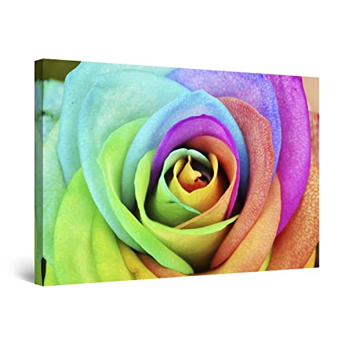 Colored Petals Flower