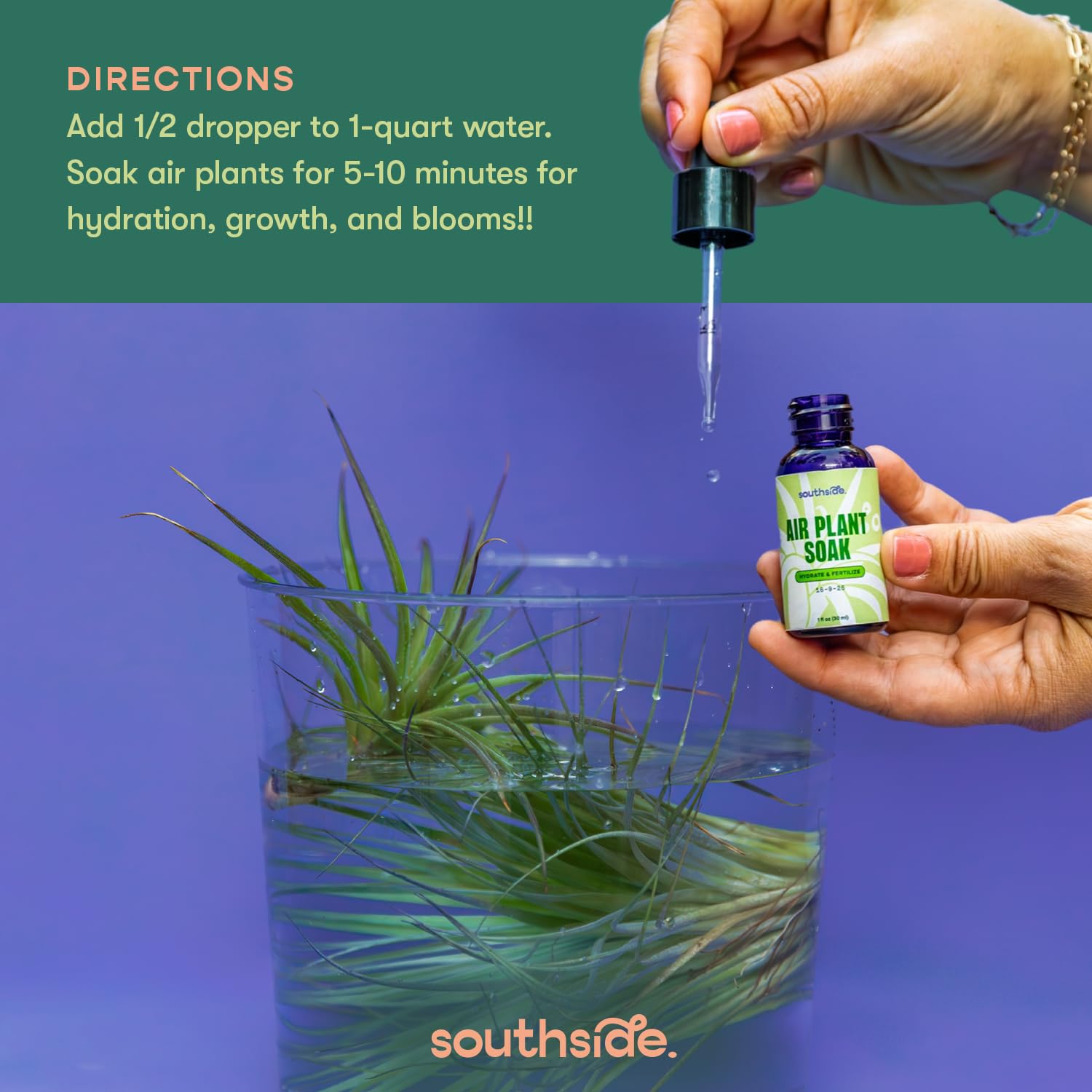 Air Plant Fertilizer Concentrated Soak by Southside Plants - Weekly Plant Food & Gentle Mist Formula for Houseplants - 1 oz | Perfect for Indoor Gardens, Terrariums & Home Decor