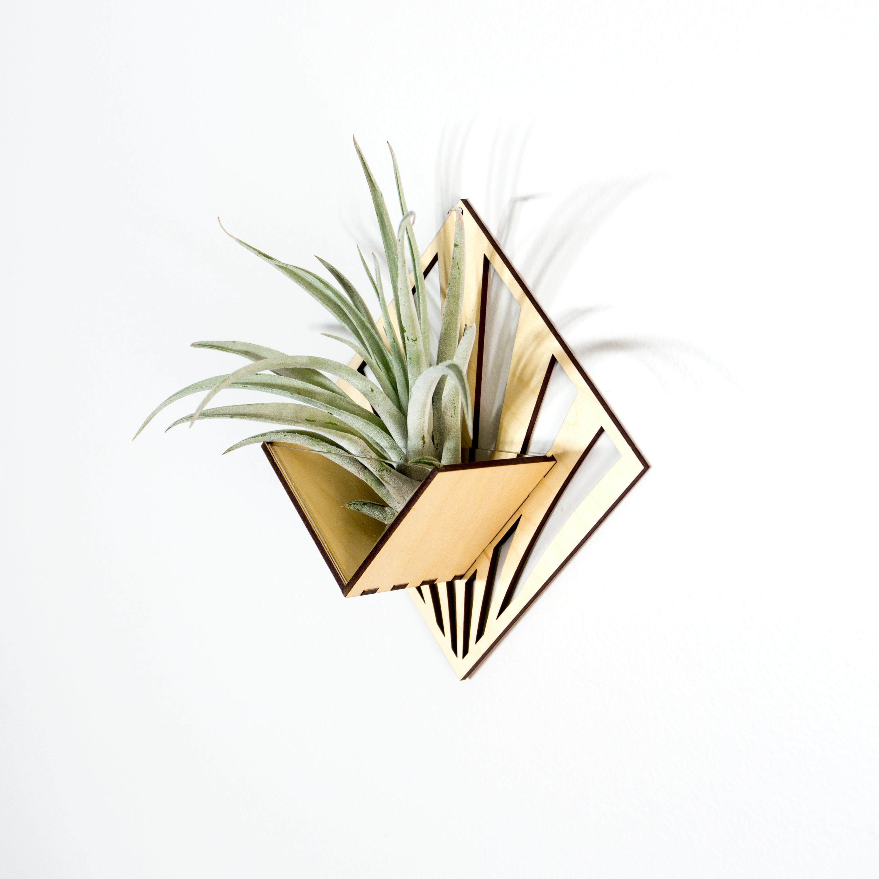 Handmade Wooden Quadrate Wall Planter Set of 2 - Air Plant Holder & Mounted Hanger Display for Tillandsia | Rustic Home Decor, Unique Plant Lover Gift Idea for Living Room, Bedroom or Office Decor