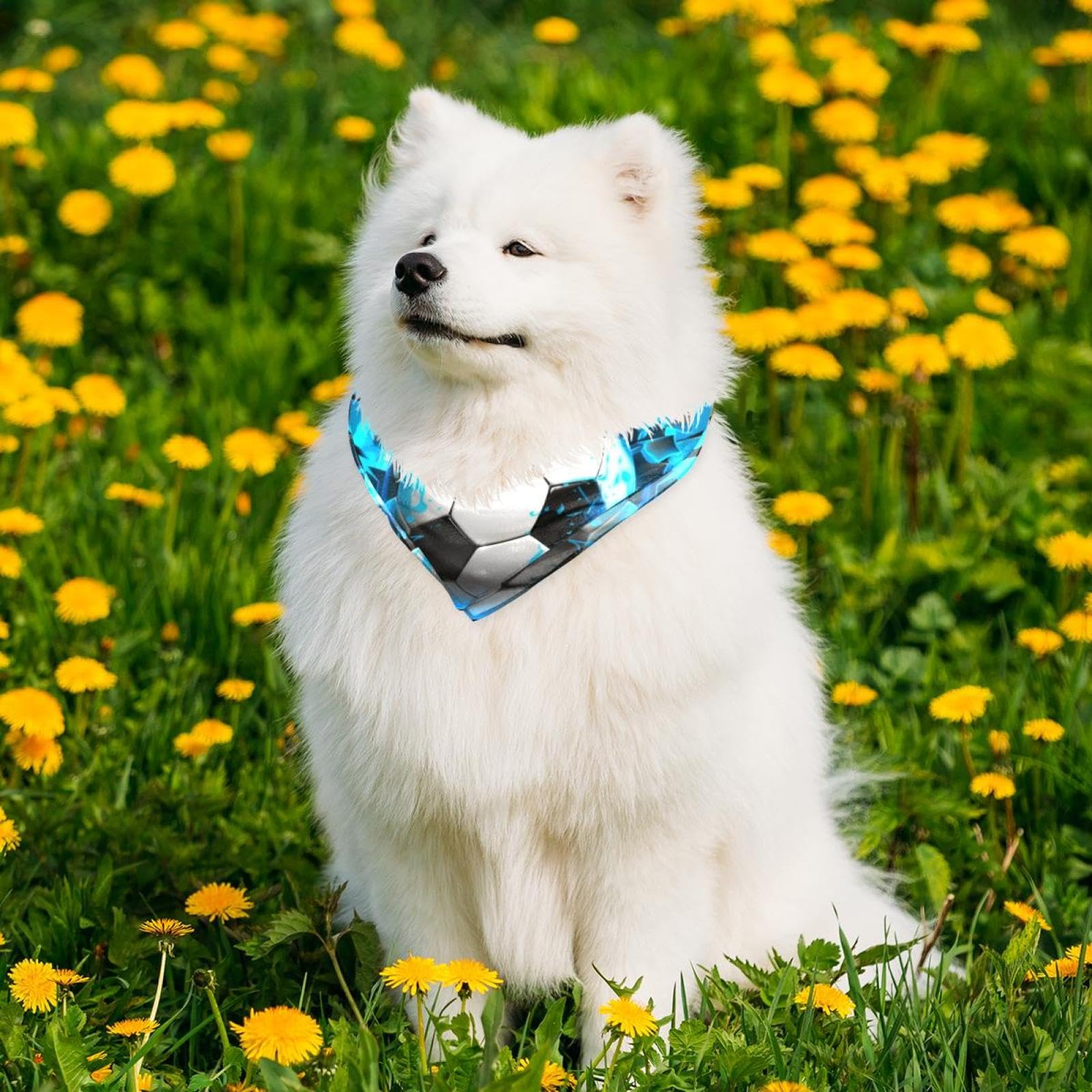 3D Light Wall Football Dog Bandanas - 2-Piece Set for Small, Medium & Large Dogs & Cats | Pet Fashion Accessories for Daily Walks, Parties & Photo Shoots
