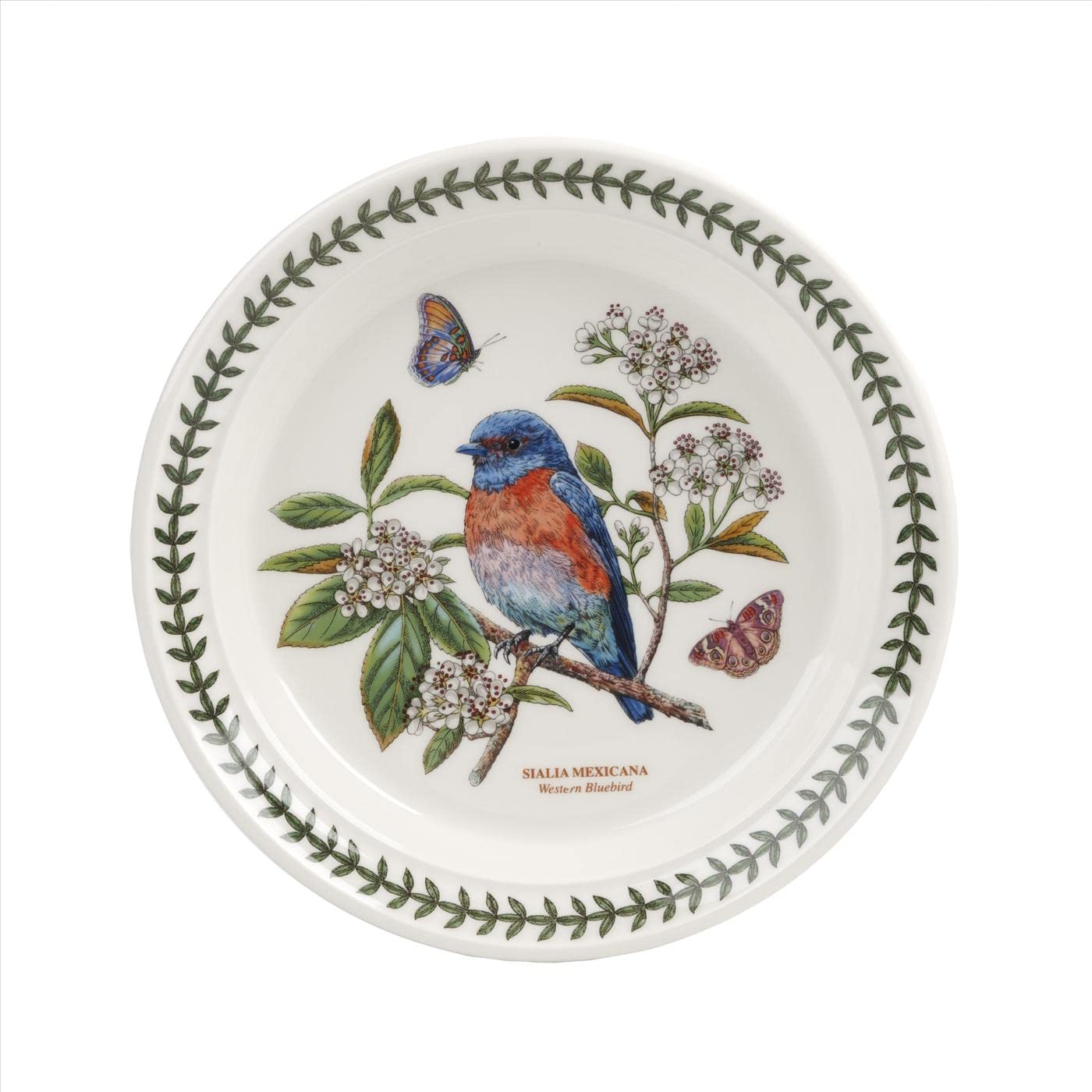Portmeirion Botanic Garden Birds Collection Salad Plates Set of 6 - 8.5 Inch Earthenware Plates with Beautiful Bird Designs | Dishwasher & Microwave Safe | Made in England | Perfect for Dinner Parties, Garden Tea Time & Home Decor