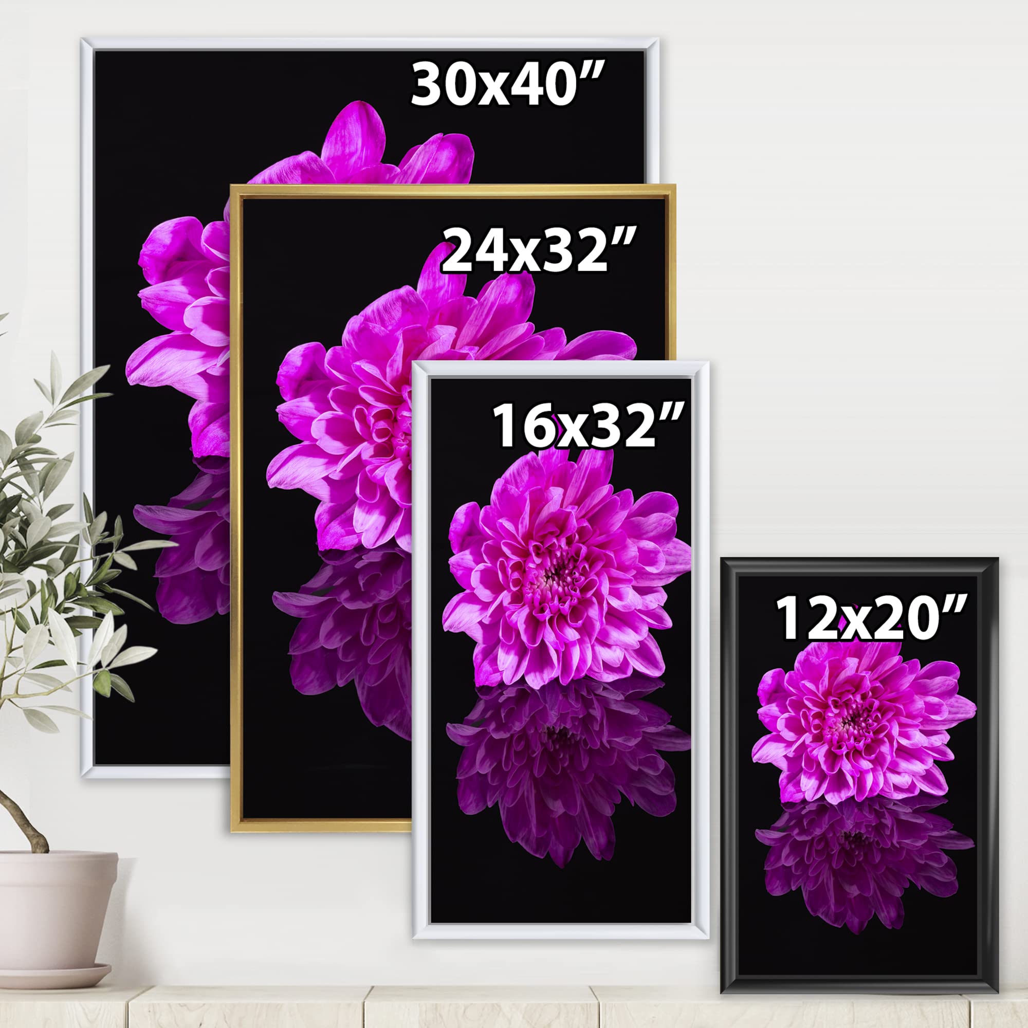 DesignQ Single Chrysanthemum Flower on Black Reflection - Traditional Framed Canvas Wall Art Print for Living Room, Bedroom & Office Decor