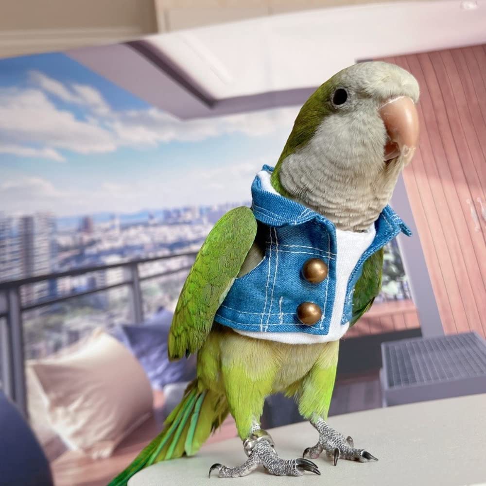 **Bird Diaper Flight Suit & Costume Set - Parrot, Lovebird, Cockatiel, Macaw Apparel with Washable Diaper - Perfect for Cosplay, Photo Props & Small Pet Fashion**    *(Ideal for bird owners, pet fashion lovers, and cosplay enthusiasts! Keep your feathered friend stylish and mess-free during playtime, photoshoots, or themed events.)*