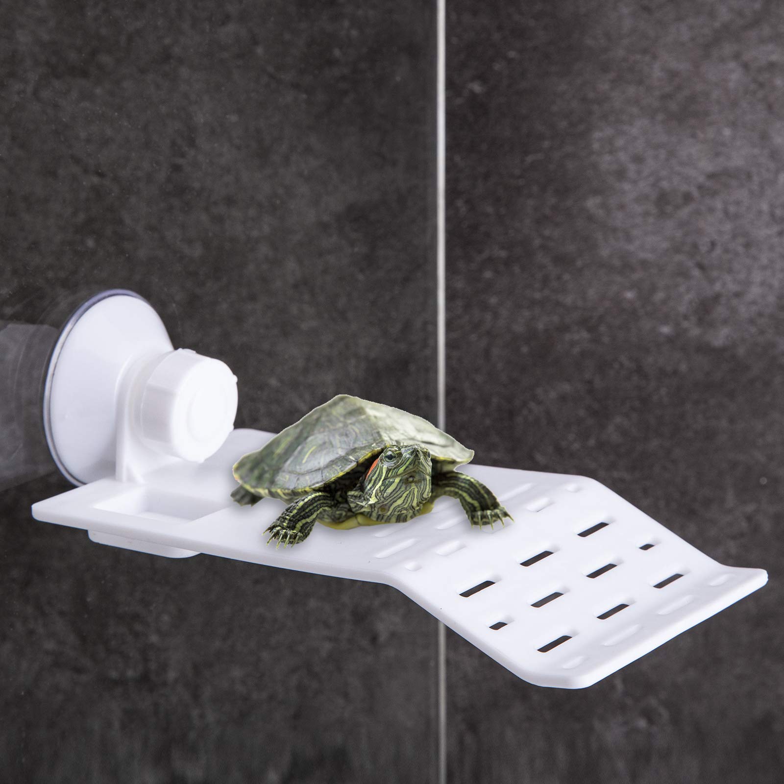 Premium Turtle Basking Platform with Suction Cups - Small Reptile Habitat for Aquariums & Fish Tanks, Tortoise Resting Terrace with Feeding Trough - Ideal for Pet Turtles, Terrapins & Aquatic Reptiles (Perfect for Home Aquariums & Terrariums)
