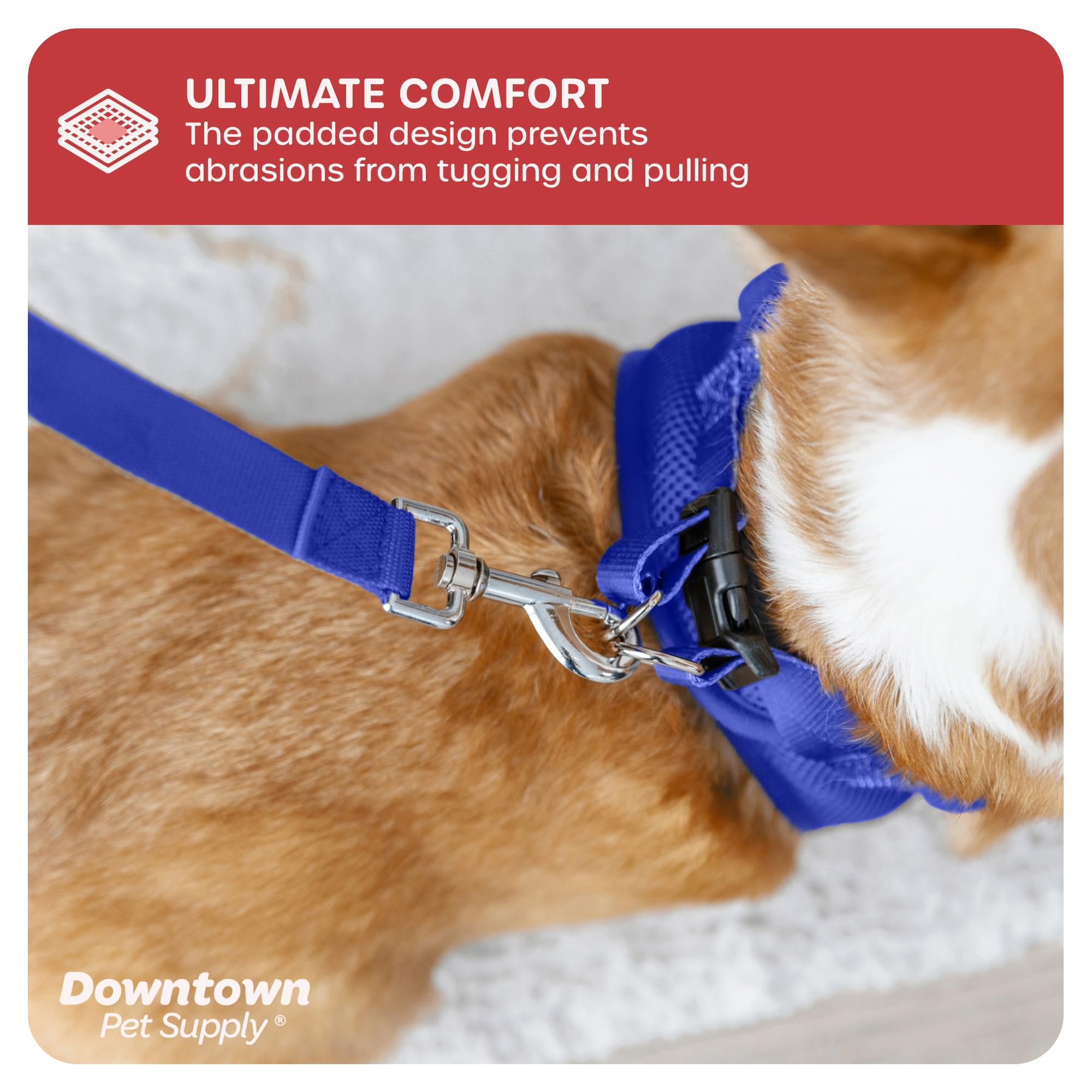 Downtown Pet Supply Step-in Dog Harness for Small Dogs & Cats - No Pull Adjustable Pet Harness with Padded Mesh Fabric & Reflective Trim - XXS Blue Buckle Strap Harness for Teacup Breeds - Perfect for Walking, Training & Outdoor Adventures