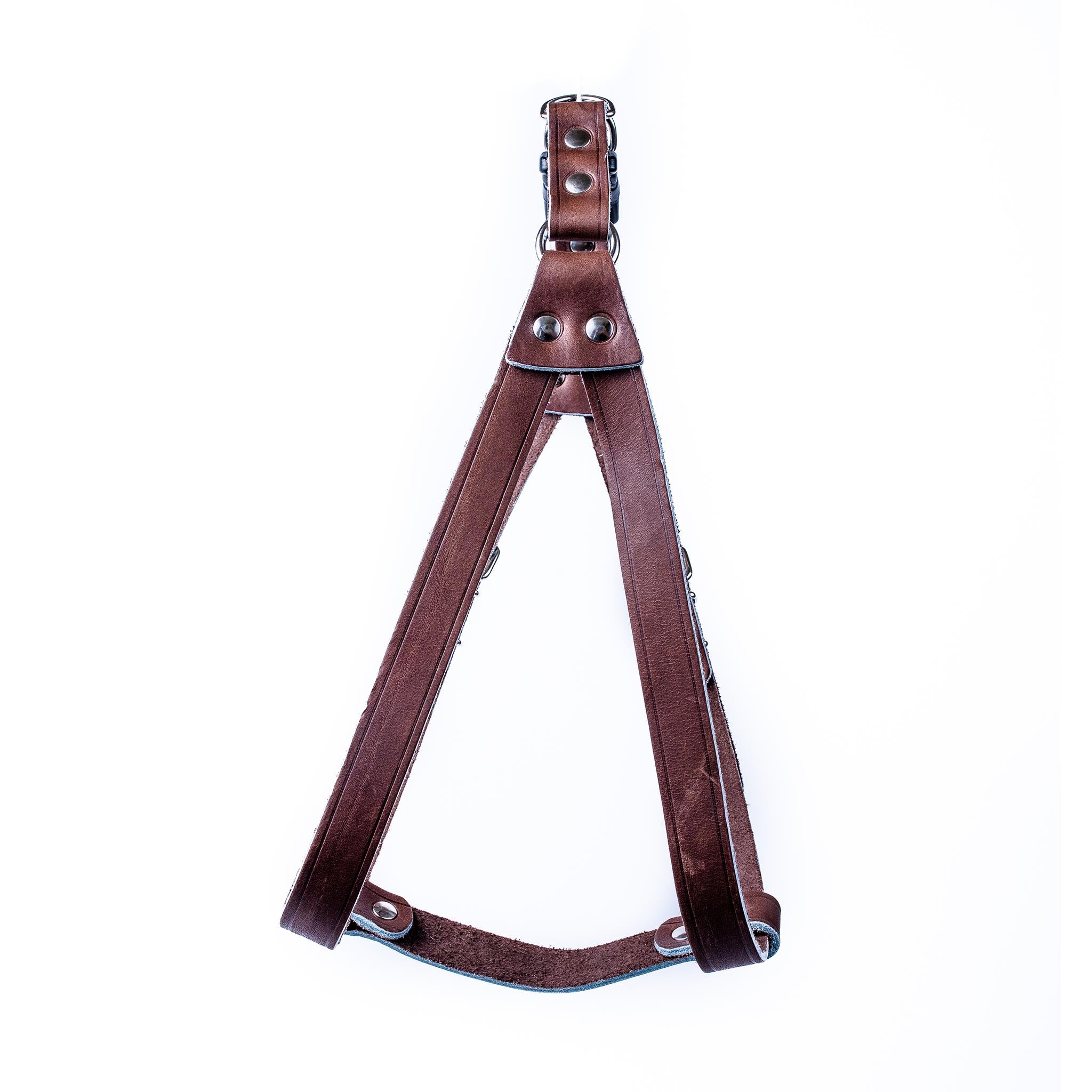 Premium European Step-In Buffalo Leather Dog Harness – Durable, Adjustable & Comfortable for Small to Medium Dogs – Perfect for Walking, Training & Outdoor Adventures