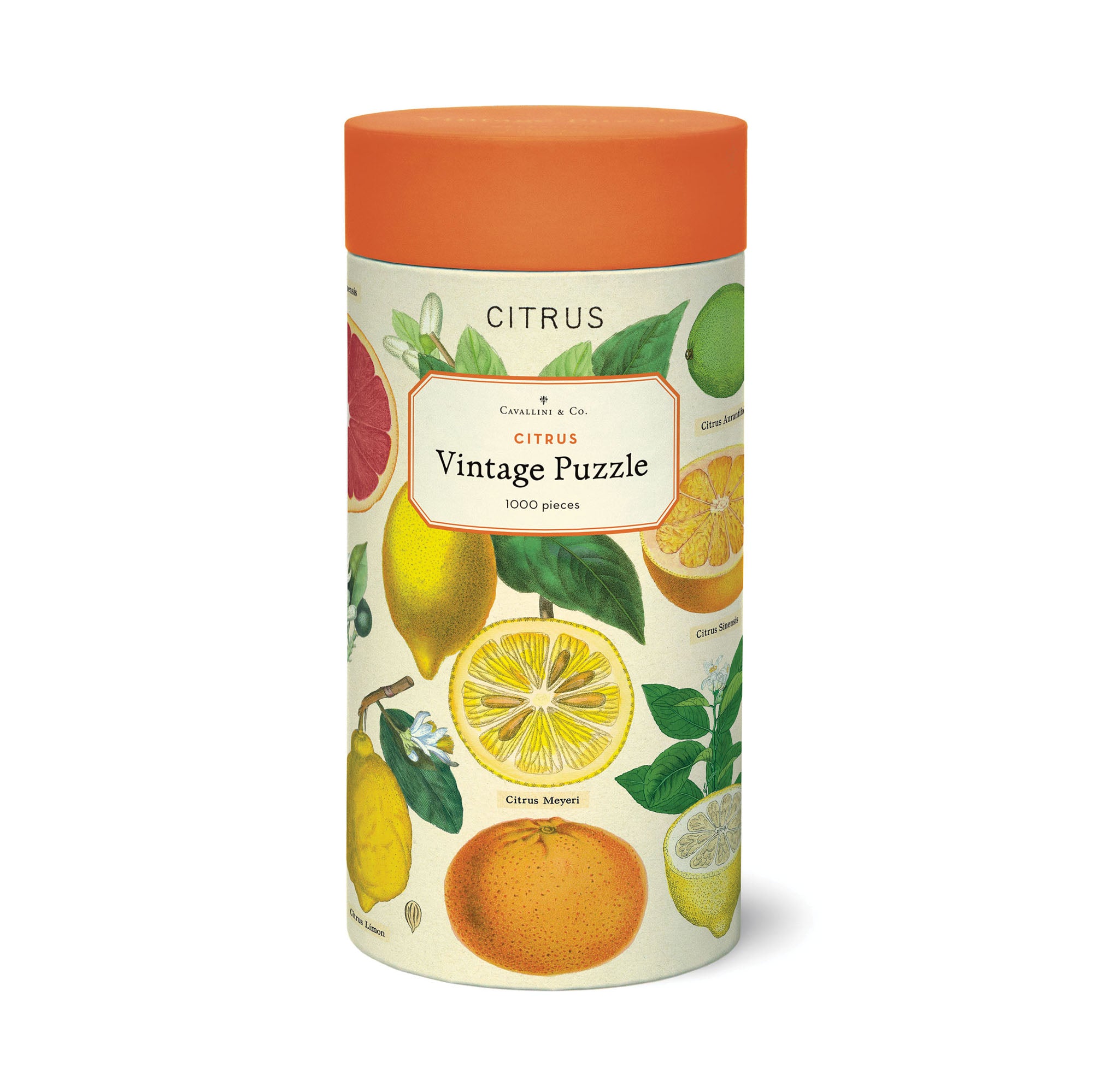 1,000 Piece Vintage Citrus Puzzle - Challenging Jigsaw Puzzle for Adults & Teens - Perfect for Family Game Night, Relaxation & Home Decor