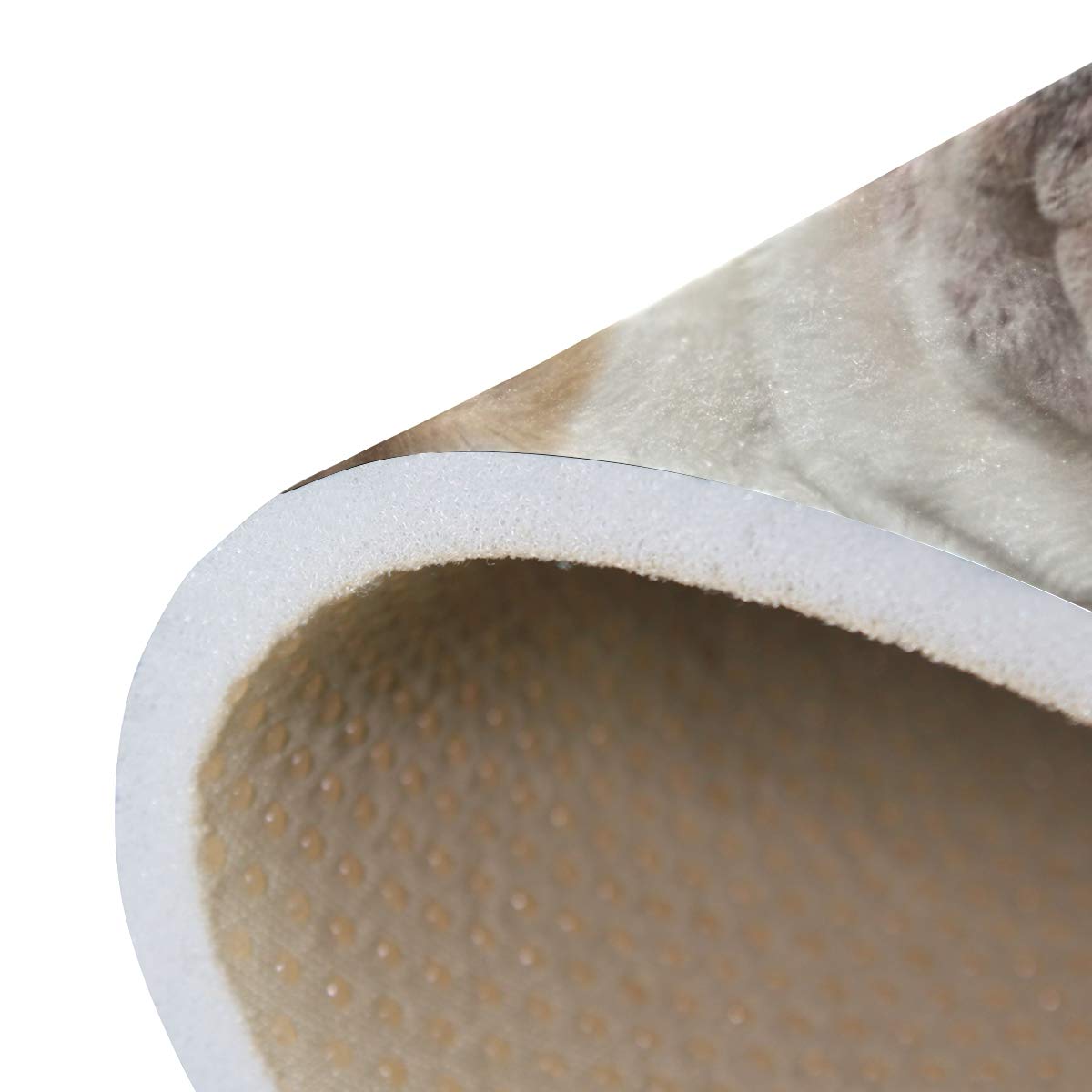 ALAZA English Bulldog with Cigar and Glass Non-Slip Area Rug - 6'x4' Soft Floor Mat for Living Room, Bedroom, Office - Perfect for Home Decor and Pet Lovers