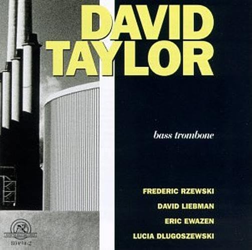 David Taylor - Premium Men's Dress Shirts for Business & Formal Wear | Slim Fit, Comfortable & Stylish for Office, Meetings & Special Occasions