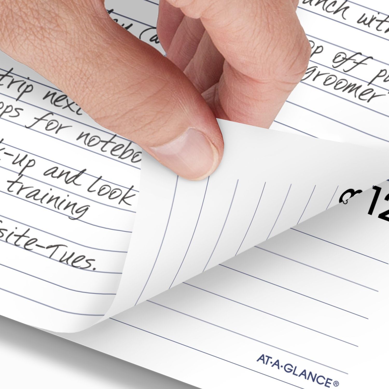 AT-A-GLANCE 2025 Planner Refill - Weekly & Monthly Calendar, 7
