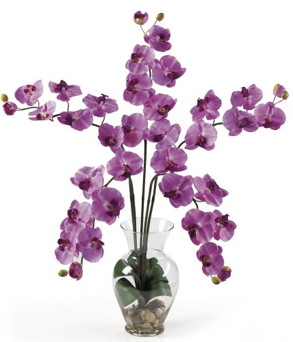 Mauve