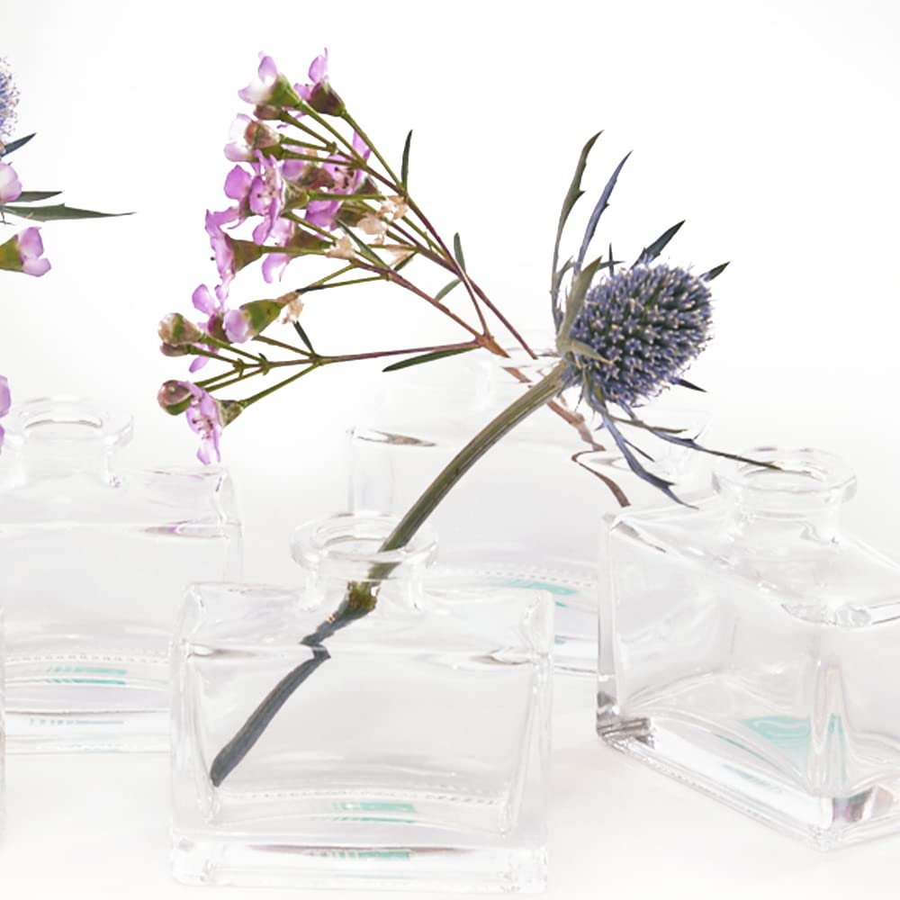 CHIVE ‘Loft’ Small Mini Flower Vases - Set of 10 Clear Glass Bud Vases for Wedding Centerpieces, Rustic Home Decor & Events - Durable Premium Quality Glass Vases for Fresh Flowers, Table Decorations and Gift Ideas