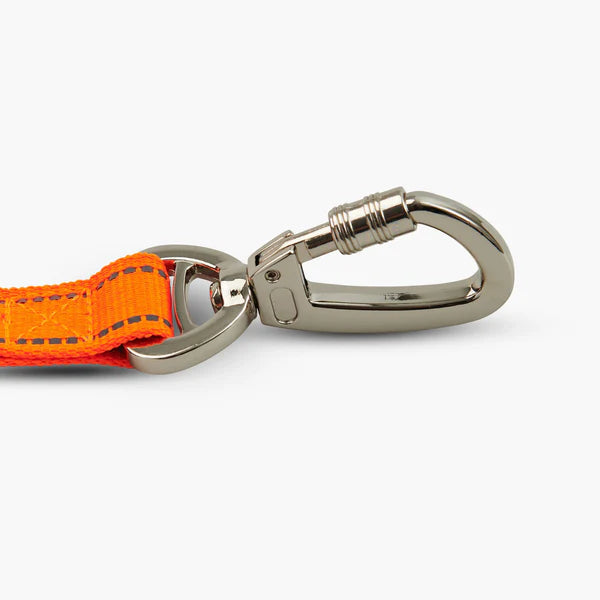 Dog Friendly Co. Classic Reflective Dog Leash - High Visibility Orange for Night Walks & Outdoor Safety