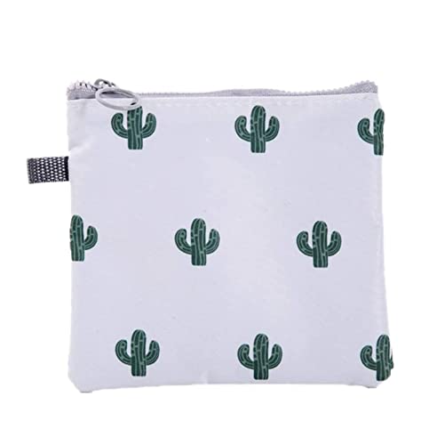 B - White Cactus