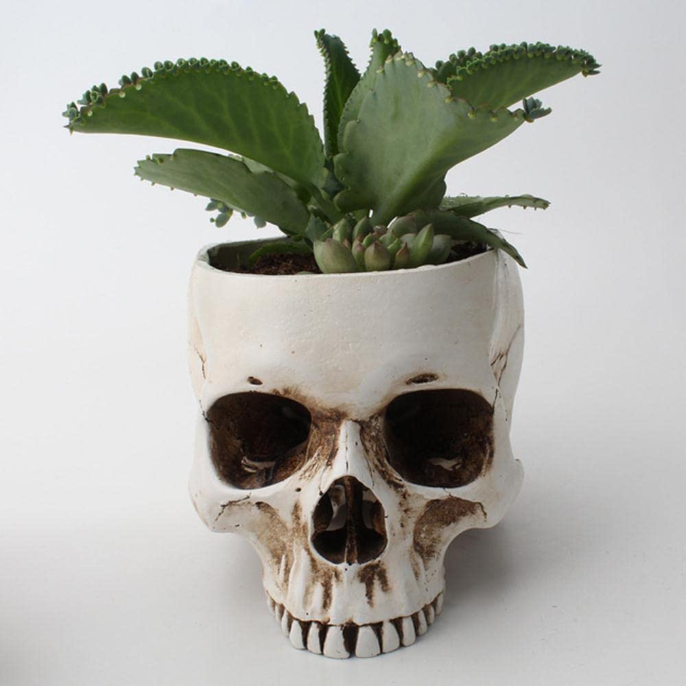 JUCHENG Skull Shaped Flower Pot - Creative Desktop Planter for Home, Office & Gardening - Breathable Plant Container for Succulents, Cacti & Small Plants - Perfect for Desk Decor, Gifts & Indoor Gardening