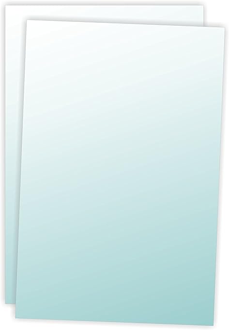 Clear Bulletin Board Holder Inserts 22 x 28 Inches - Only Garment Racks - Set of 2 - Perfect for Office Organization, Classroom Displays & Retail Signage