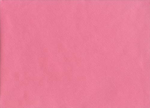 Pictura Camper with Pink Door Sienna Garden Die Cut Feminine Birthday Card for Women - Perfect for Her Birthday, Mother's Day, or Friendship Gifts