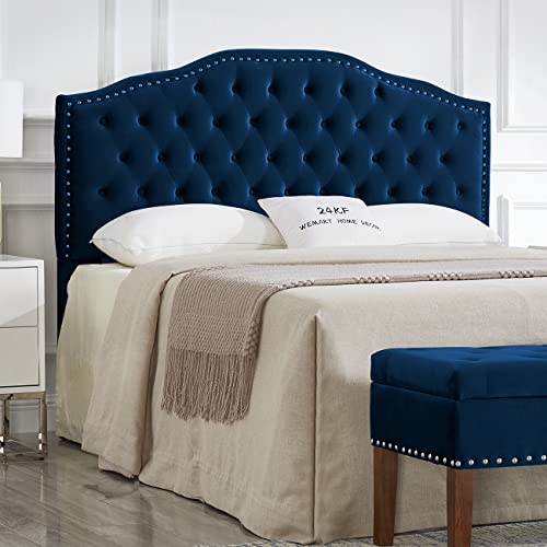 Navy-queen With Nails Trim