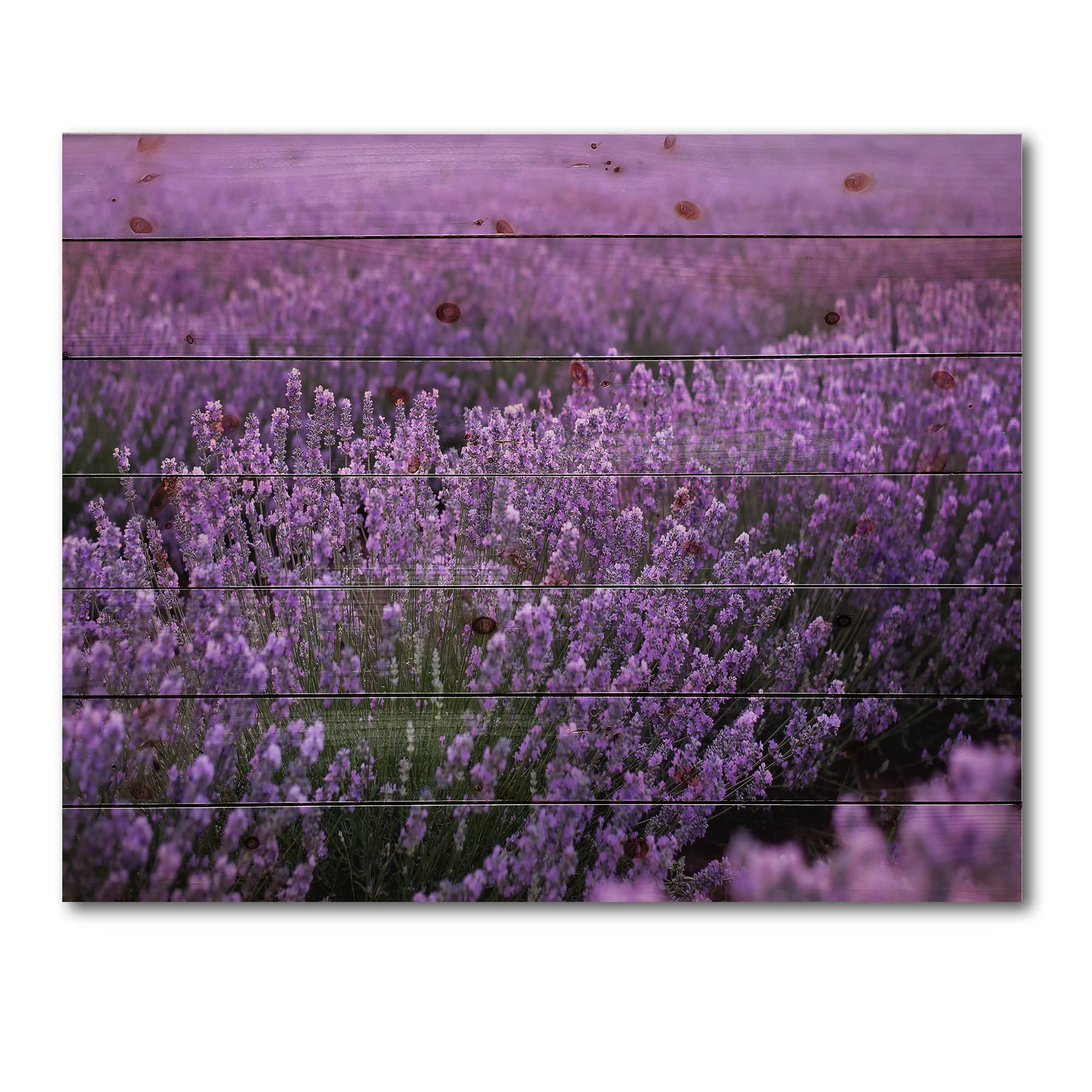 Blooming Purple Lavender Field Farmhouse Wood Wall Art - Large Landscape Pine Wood Panel Decor for Living Room, Bedroom & Office