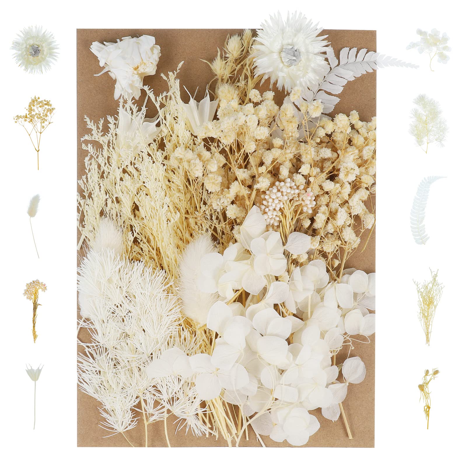 Premium Dried Pressed Flowers for DIY Crafts - Natural Mixed Floral Leaves for Resin Jewelry, Candle Making, Nail Art & Home Decor (White) | Perfect for Wedding Invitations, Scrapbooking & Gift Wrapping