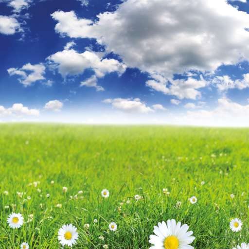 Primavera.