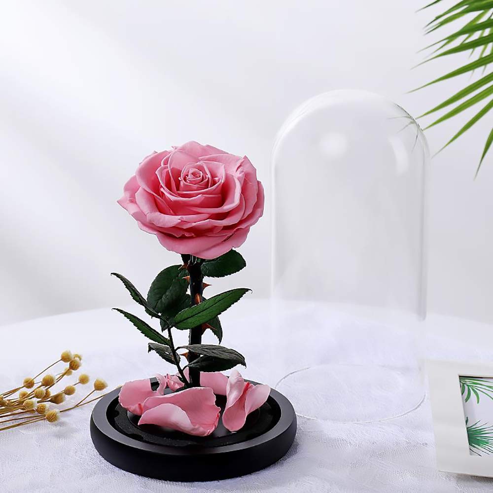 Real Preserved Pink Rose in Glass Dome - Eternal Fresh Flower Gift for Valentine's Day, Birthday, Mother's Day, Christmas & Anniversaries (1PC) - Perfect for Home Decor, Wedding Centerpieces & Romantic Surprises
