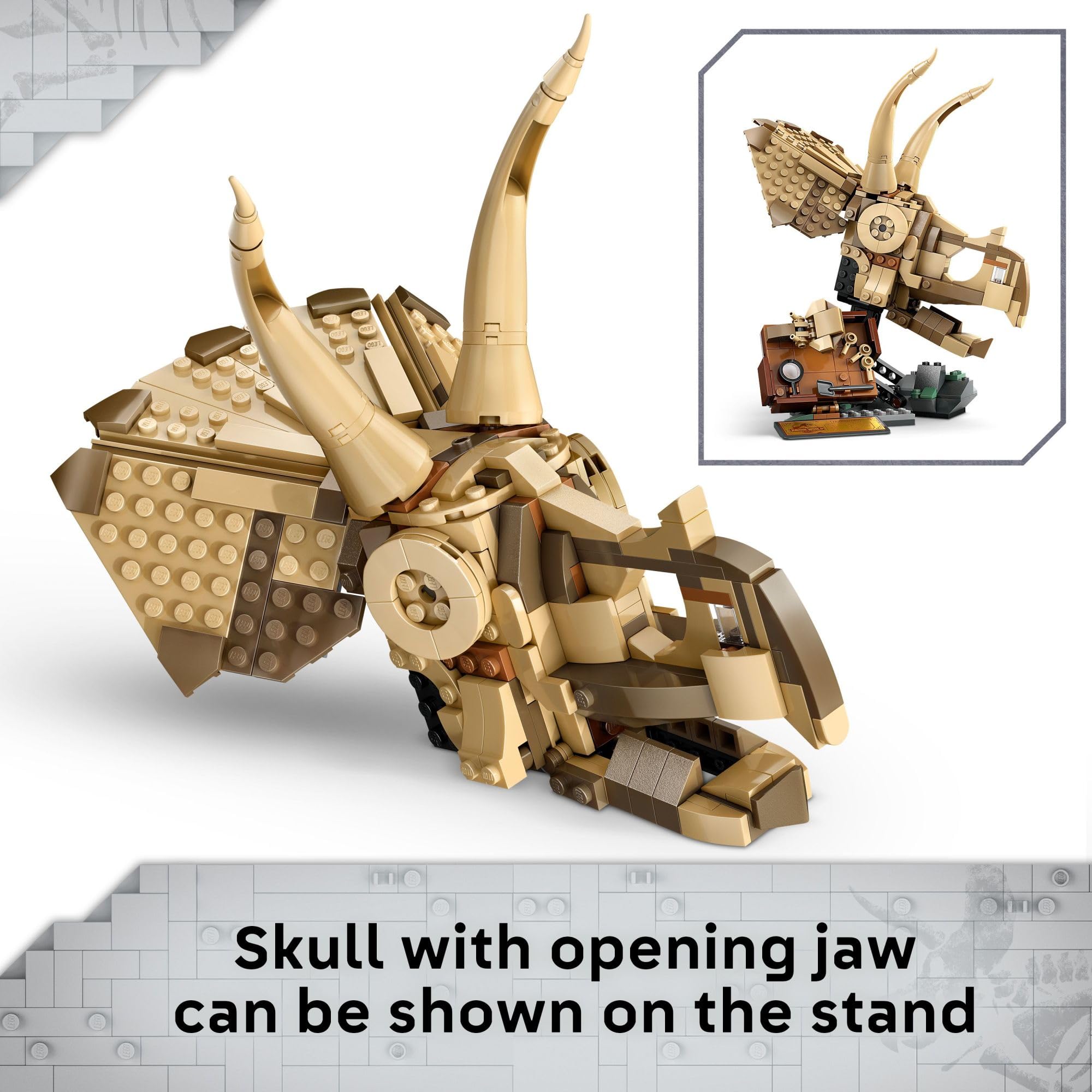 LEGO Jurassic World Triceratops Skull Dinosaur Fossil Building Set - STEM Toy for Kids Ages 9+ | Creative Model Display Kit | Perfect Birthday Gift for Boys & Girls (Set 76969) | Dinosaur Lovers & Collectors | Home Decor & Educational Play