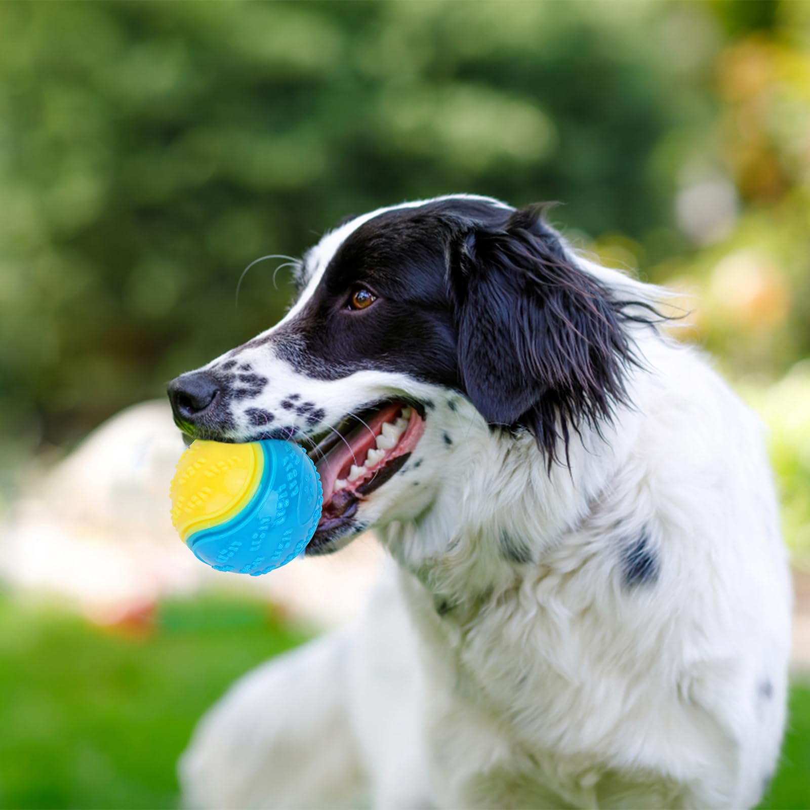 QKURT 3-Pack Durable Squeaky Dog Balls - Indestructible Chew Toys for Medium & Large Dogs - High Bounce Rubber Ball for Teeth Training & Interactive Play - Perfect for Fetch, Training & Outdoor Activities