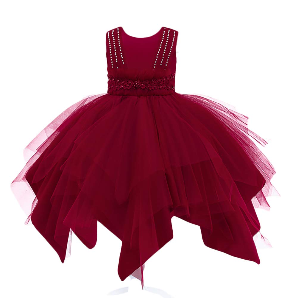 Princess Tutu Dress for Baby Girls - Elegant Flower Pageant Gown for Weddings, Birthday Parties, Prom & Bridesmaid Formal Wear | Perfect for Special Occasions & Photo Shoots