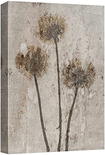 Plants-2101-m10