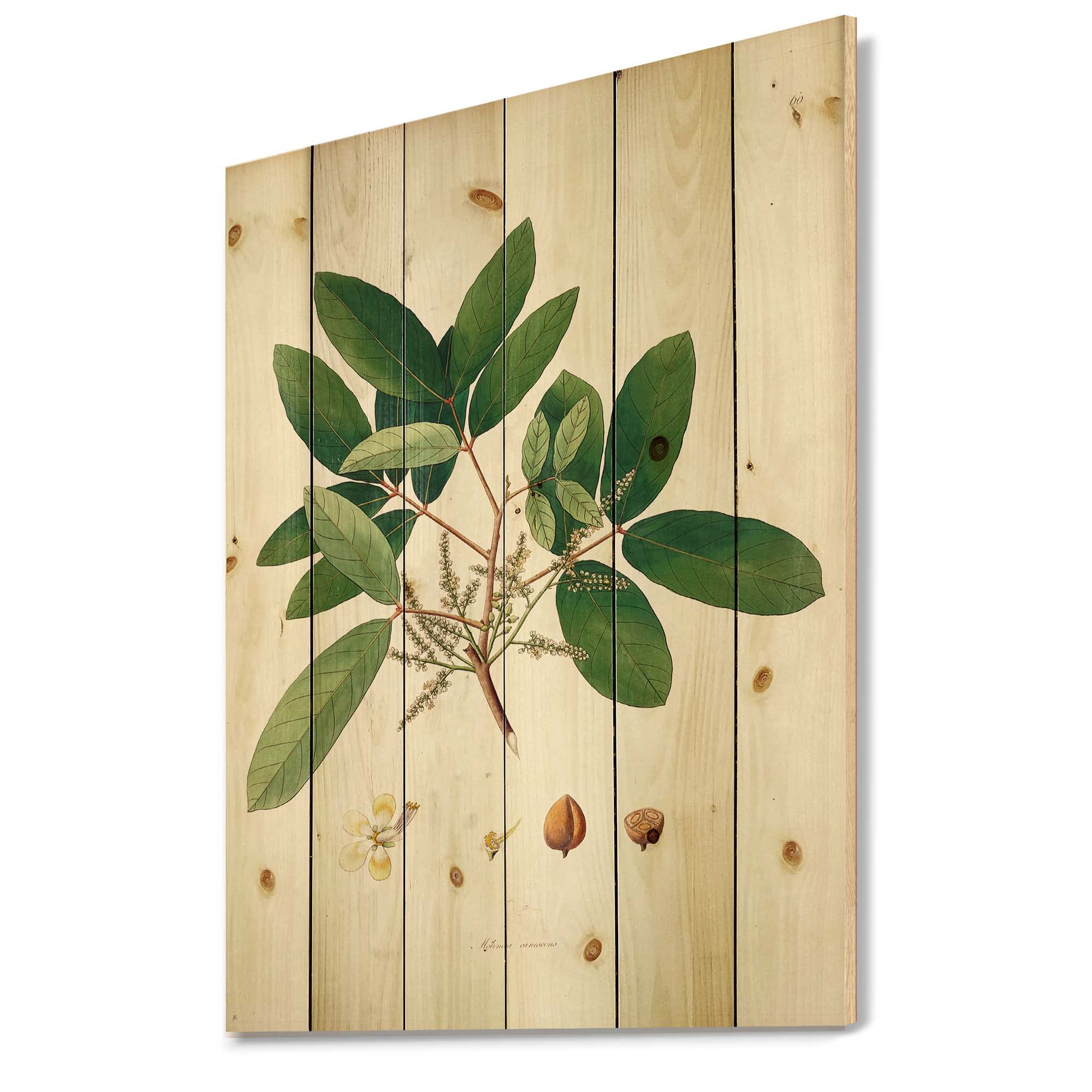 Vintage Botanicals II Farmhouse Wood Wall Decor - Large Floral Wall Art Panels Printed on Natural Pine Wood - Perfect for Living Room, Bedroom, or Office Decor
