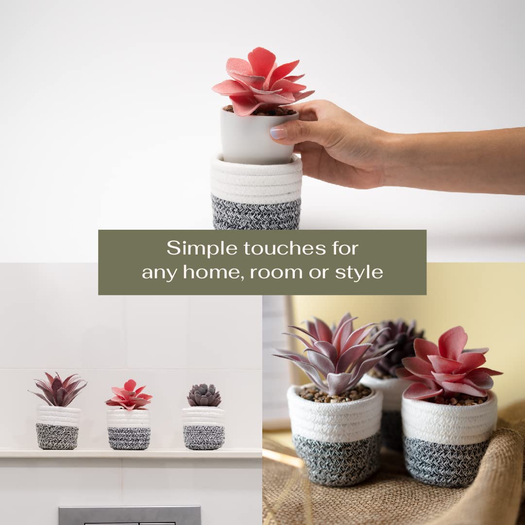 3Pcs Fake Succulent Plants in Boho Rope Basket Set - Farmhouse Faux Cactus Decor for Home, Office, Bedroom, Bathroom, Kitchen & Shelf - Perfect for Boho, Farmhouse & Modern Interior Design Styles
