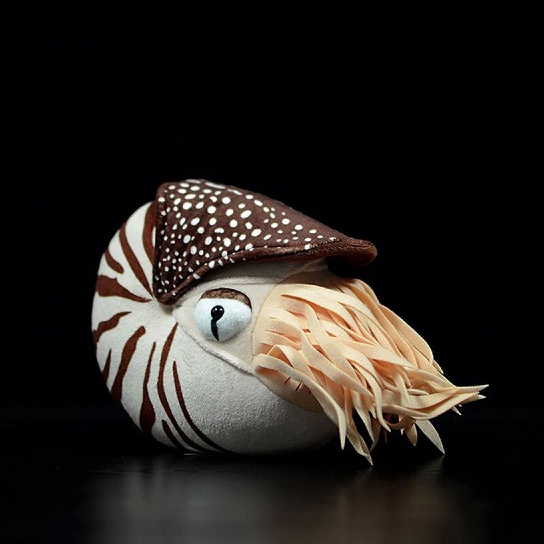 KO GROUP Realistic Nautilus Plush Toy - 7