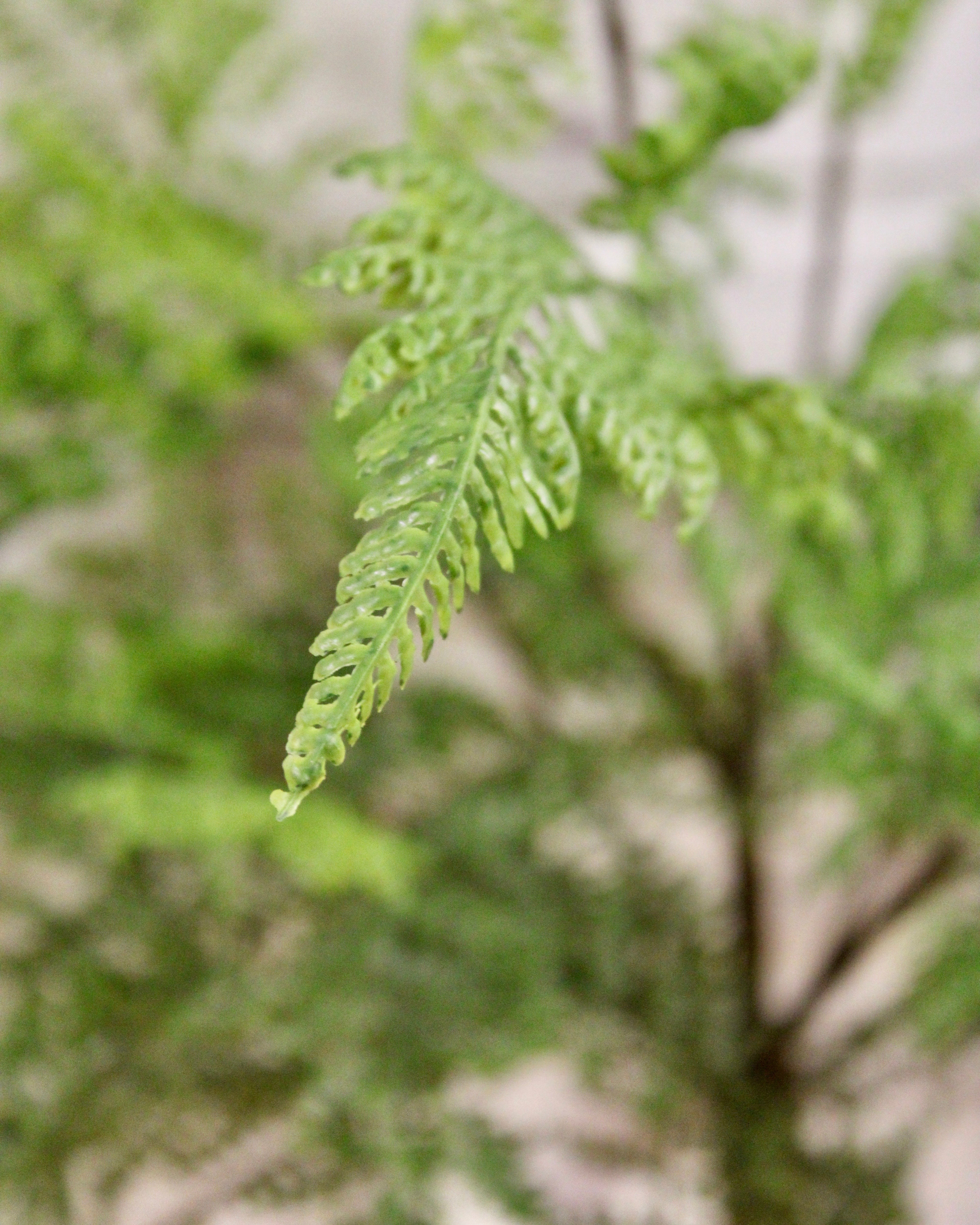 Premium Artificial Leather Fern Bush - Realistic Fake Greenery for Home Decor, Office, Wedding & Events