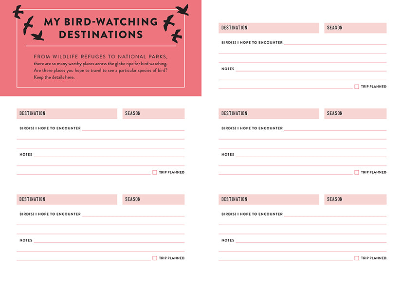 The Bird Watcher's Journal - Premium Bird Watching Notebook for Nature Enthusiasts - Perfect for Field Observations & Bird Identification