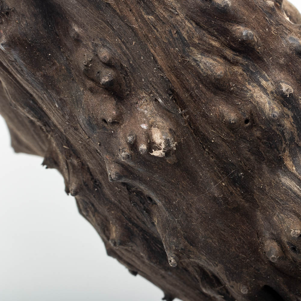 Premium Black Forest Spider Wood for Aquariums & Terrariums - Natural Driftwood Decor for Fish Tanks, Reptile Habitats & Home Décor