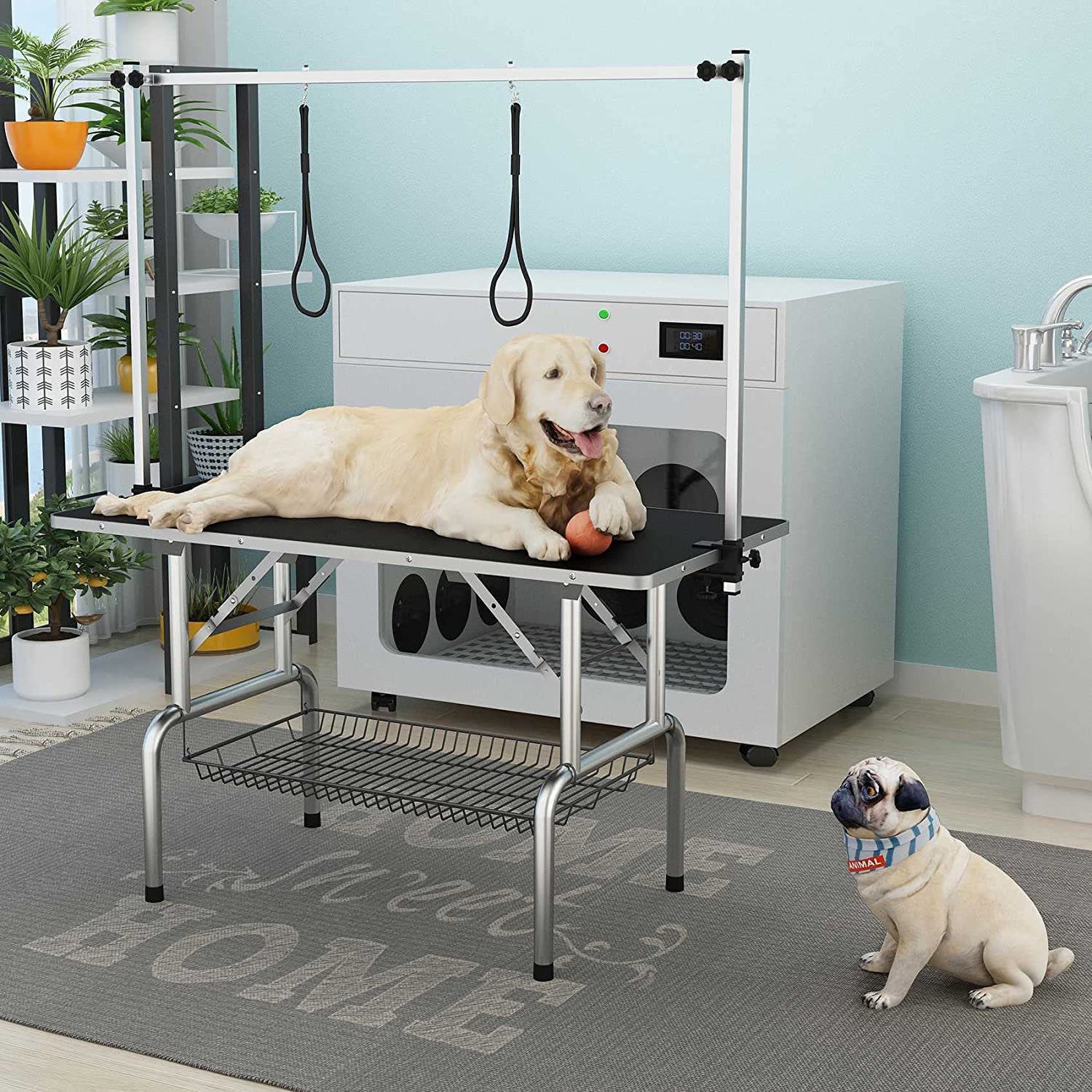 Professional Heavy-Duty Adjustable Dog Grooming Table with Arms, Noose & Mesh Tray - Foldable Pet Grooming Station for Large Dogs Up to 330LBS (36