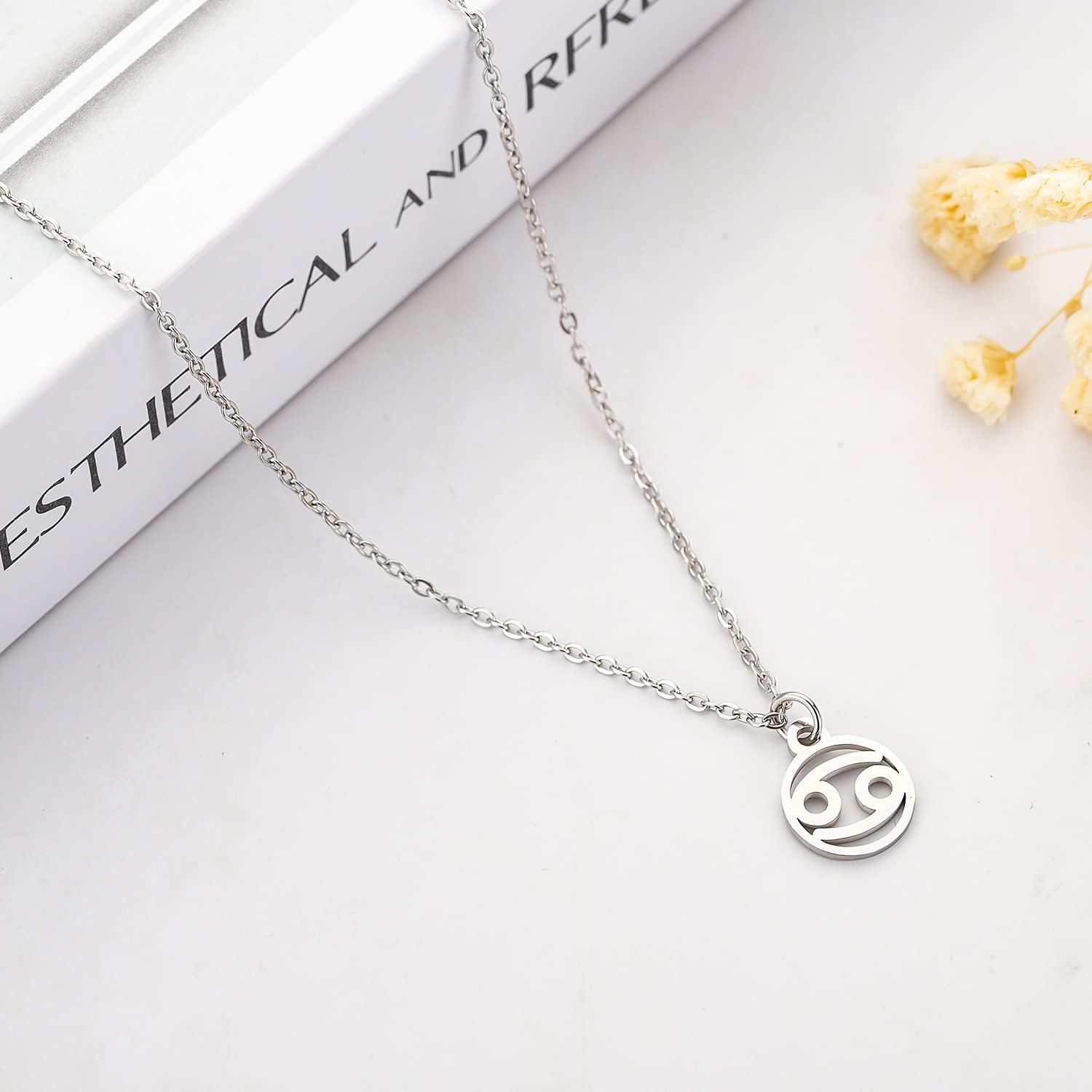 Zodiac Necklace for Women - Personalized Constellation Horoscope Jewelry - Perfect Birthday & Christmas Gift for Her - Ideal for Daily Wear, Special Occasions & Astrology Lovers