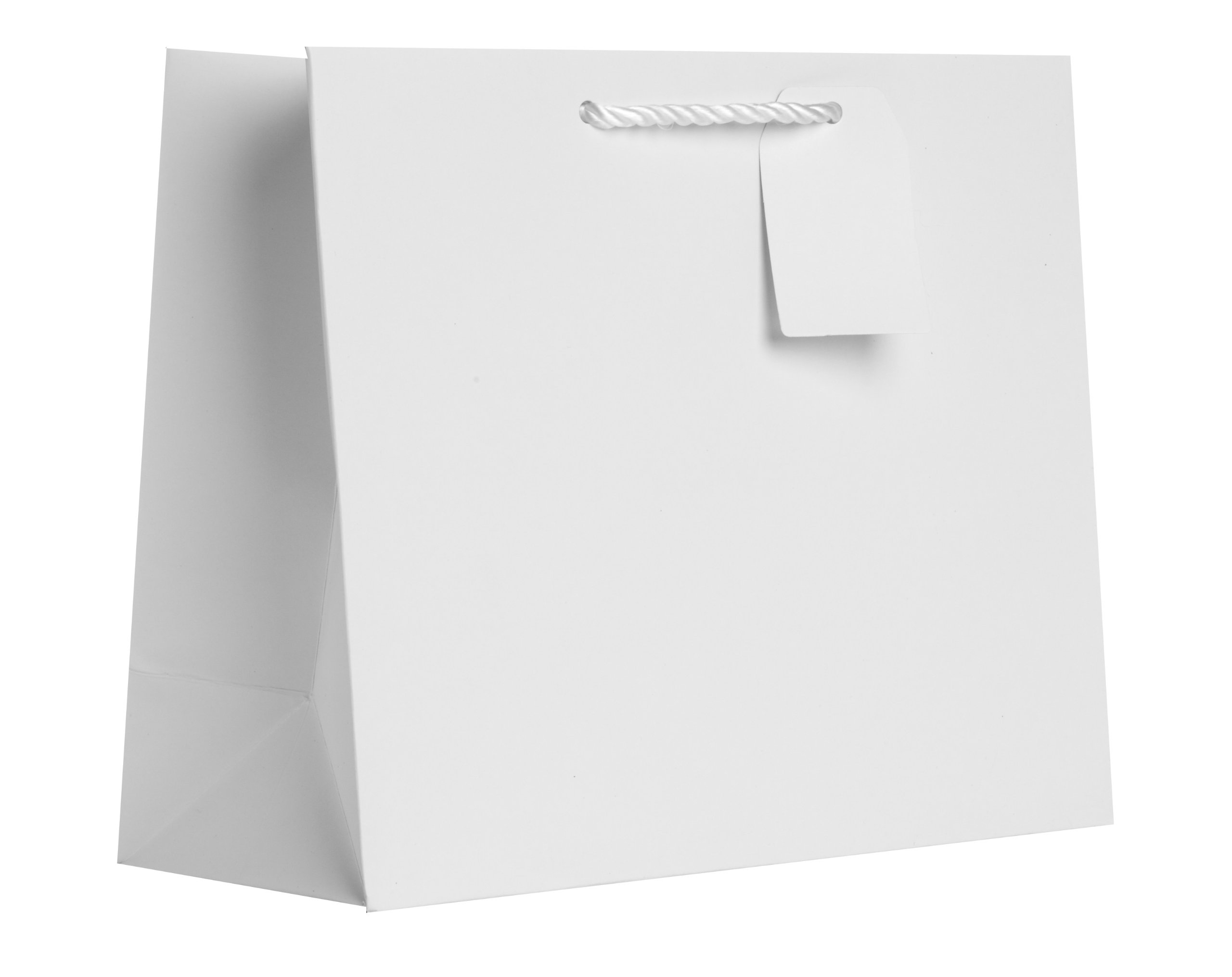 Jillson Roberts Bulk Large Gift Bags - 14 Colors (Including White Matte) - 120 Count - Perfect for Birthday, Wedding, Baby Shower & Holiday Gift Wrapping