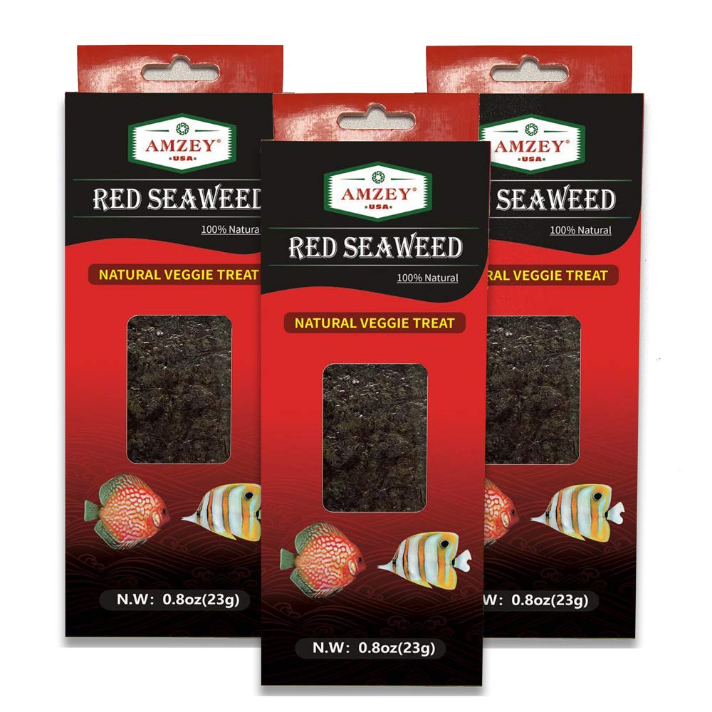 Premium 3 Pack Red Seaweed Marine Algae Fish Food - Nutrient-Rich Diet for Saltwater & Freshwater Herbivores (Tangs, Angelfish, Wrasses, Damsels) | Perfect for Reef Tanks, Aquariums & Fish Health Maintenance