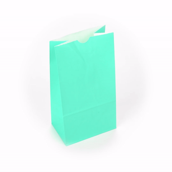 Premium Turquoise Paper Bags - 4 lb Capacity, 5 x 3.25 x 9.5 Inches - Pack of 100 - Perfect for Gift Wrapping, Party Favors & Retail Packaging