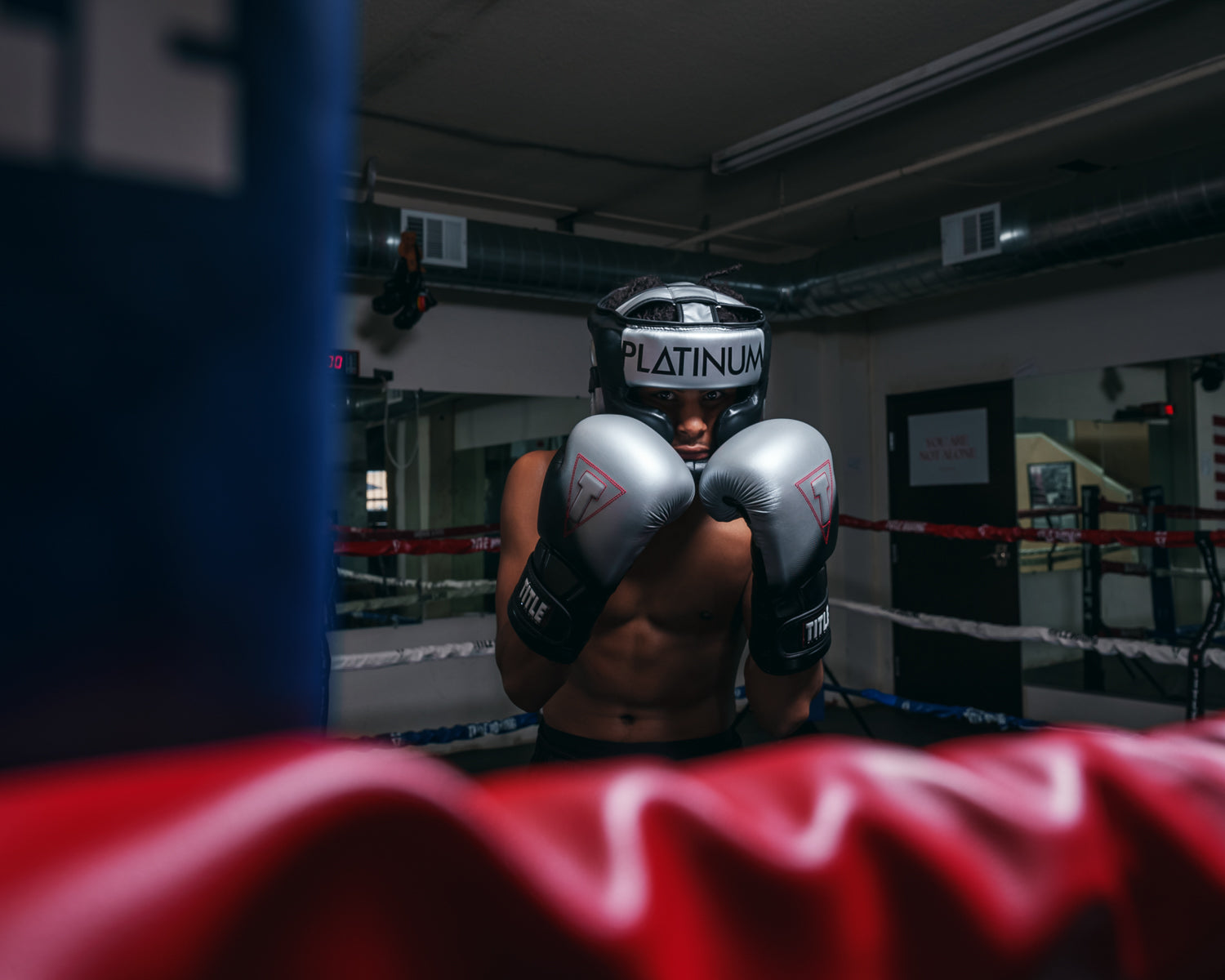 Platinum Proclaim Boxing Gloves for Training - Professional MMA, Sparring & Heavy Bag Workouts - Ideal for Boxing, Kickboxing & Fitness Training