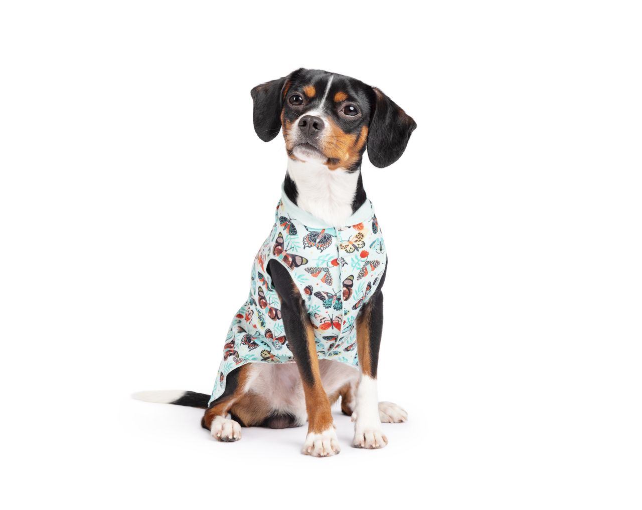 Sun Shield UV Protection Tee Shirts for Dogs & Cats - Folk Art Butterflies Design (Limited Edition) - Perfect for Outdoor Adventures & Summer Pet Fashion