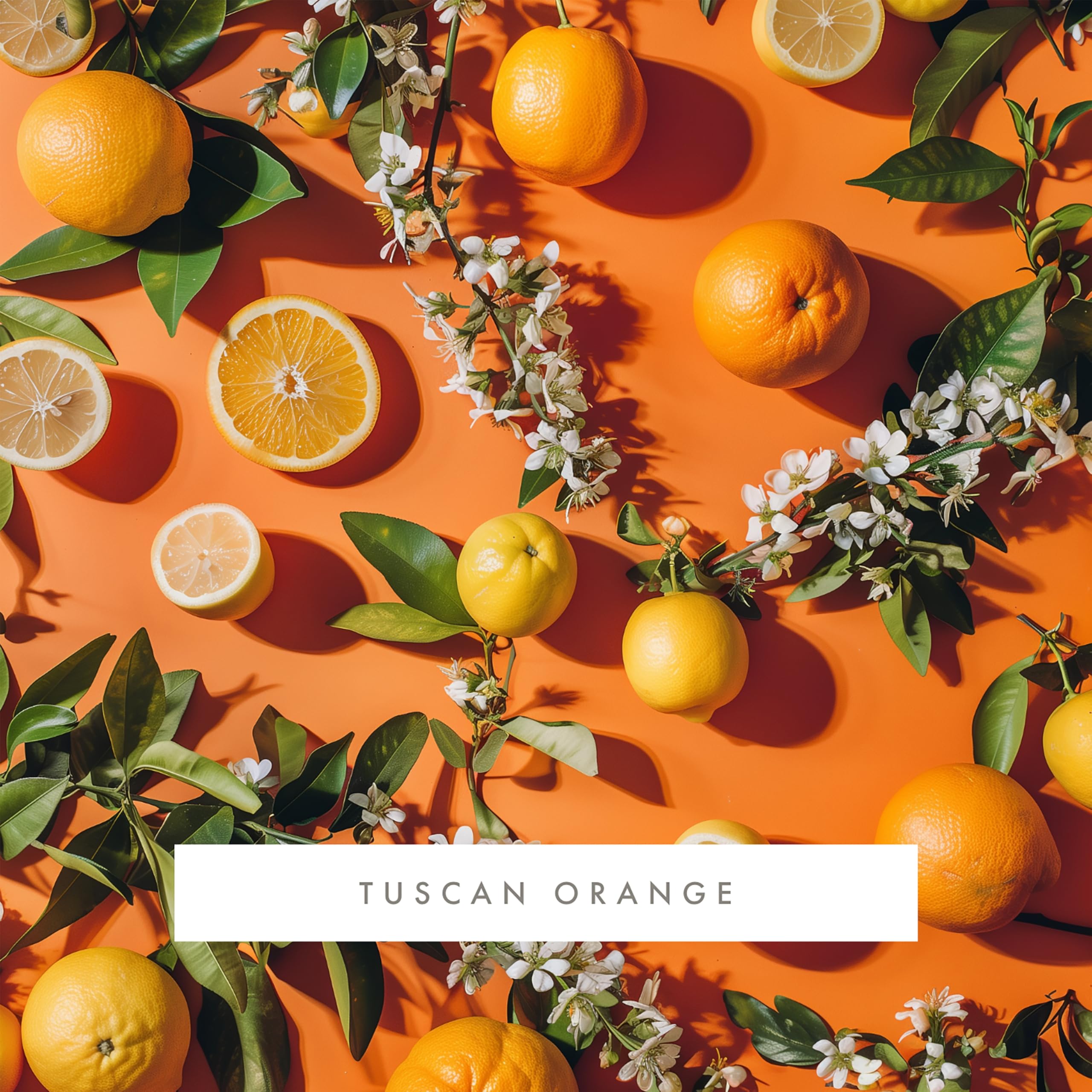Whisper Home Monthly Fragrance Cartridge - Tuscan Orange Scent | Refill for Home Diffuser | Perfect for Living Room, Bedroom & Office Aromatherapy