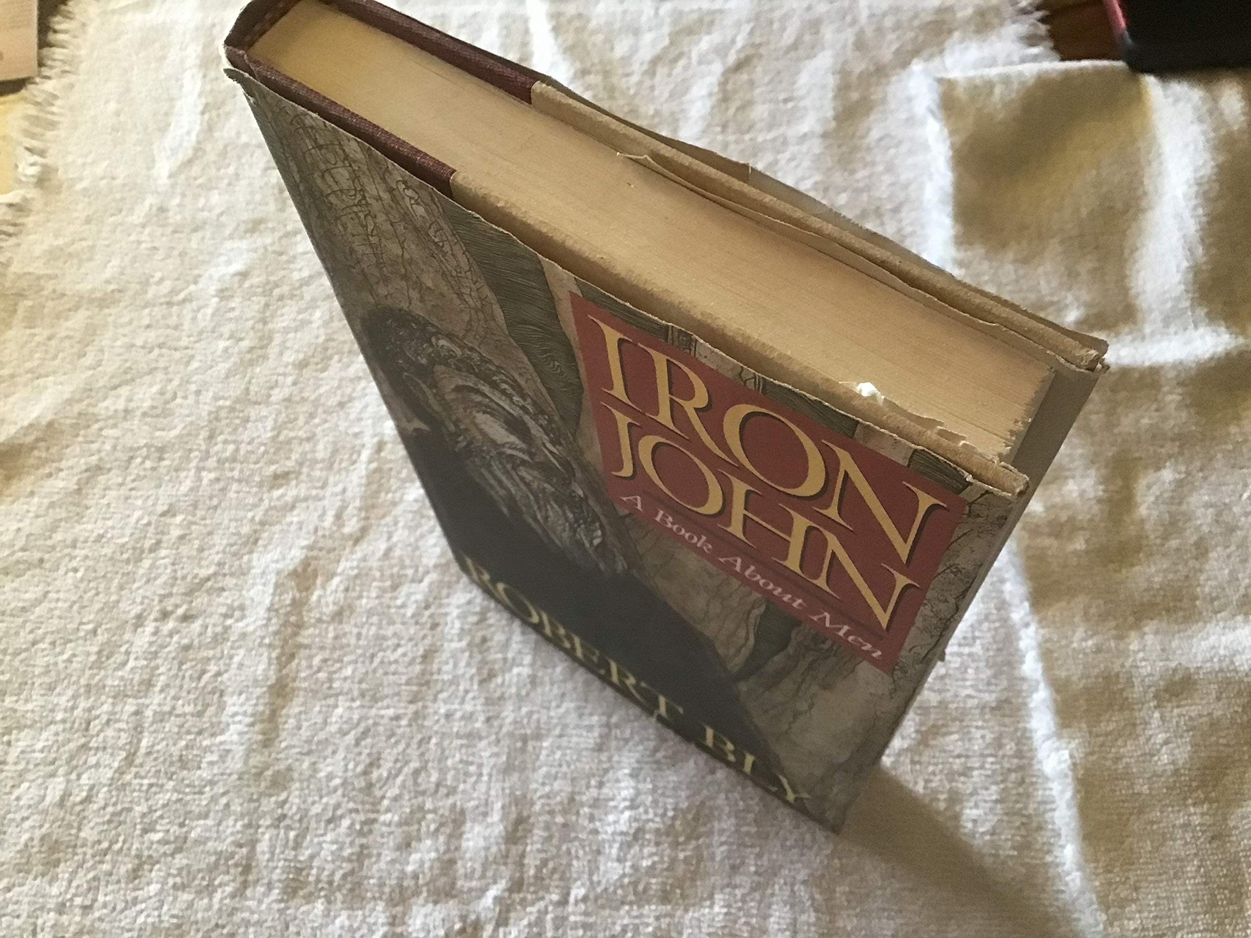Iron John: A Book About Men by Robert Bly - Hardcover 1990 Edition | Masculinity Exploration & Men's Self-Help | Perfect for Men's Groups, Therapy & Personal Growth