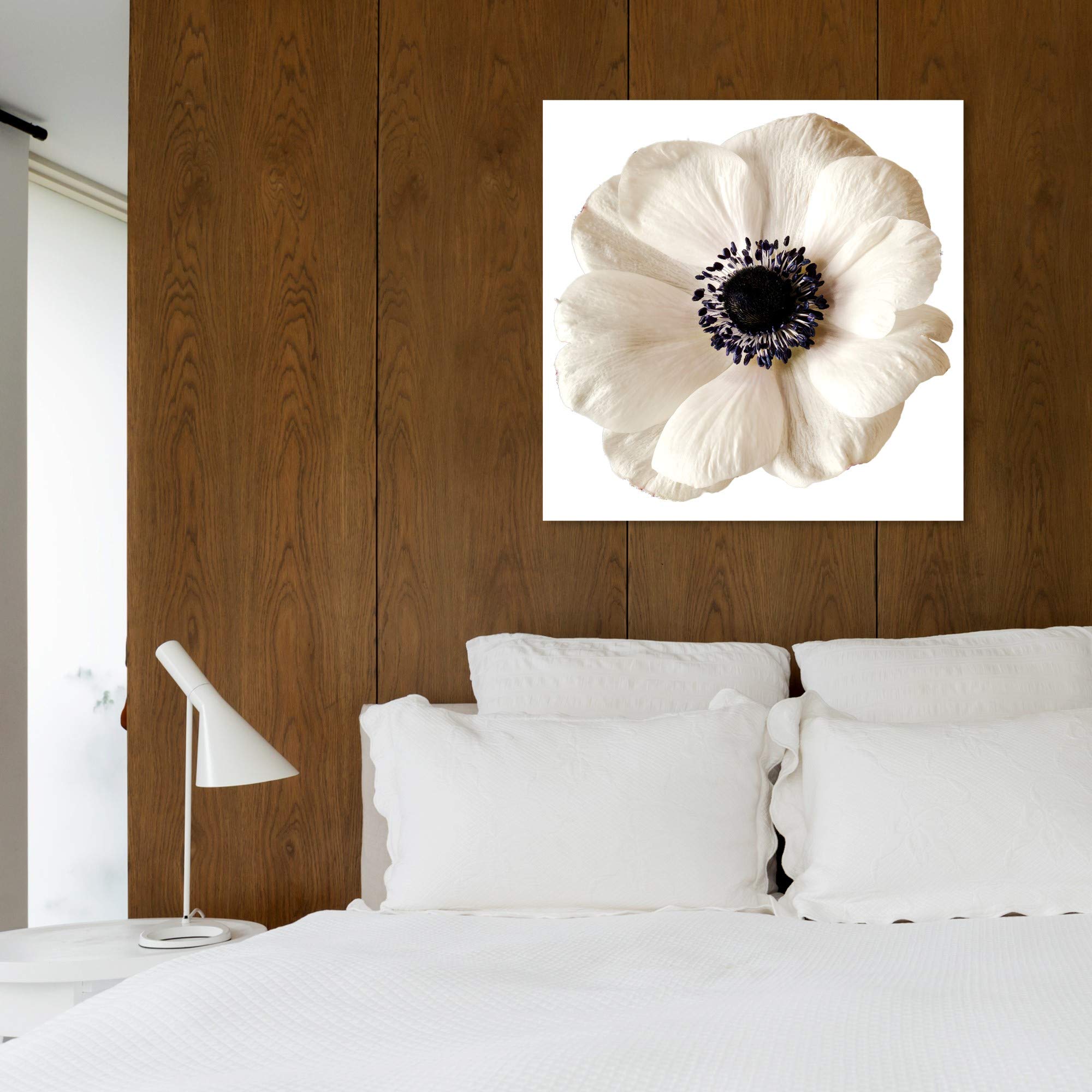 Oliver Gal Artist Co. Floral Wall Art Canvas Prints - 'White Floral' Botanical Home Decor for Living Room, Bedroom & Office